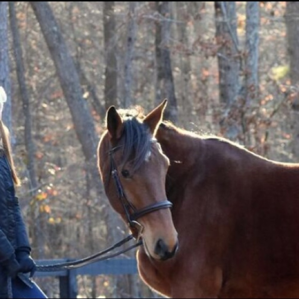 Meet your Posher, Jennifer